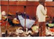 Gänse Verkauf auf dem Markt von Antananarivo - Madagaskar.jpg